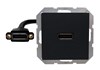 55x55 Moudle with DisplayPort Pigtail 0,15m